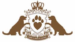 dog shower logo